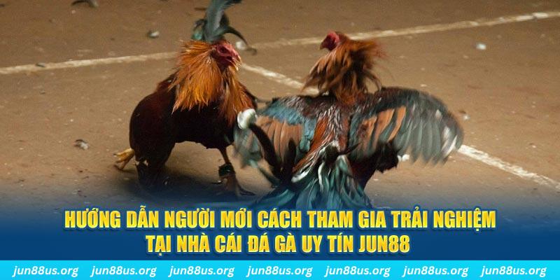 da ga loi game dot kich ket noi may chu that bai