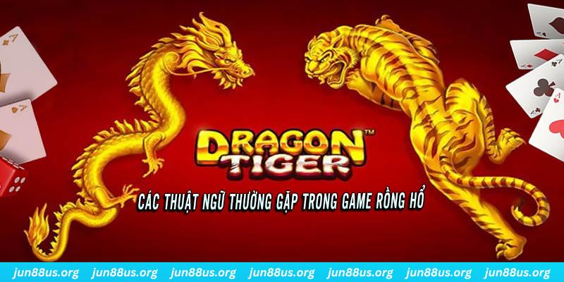 da ga ÁT CHỦ BÀI ĐẤU ĐỊA CHỦ