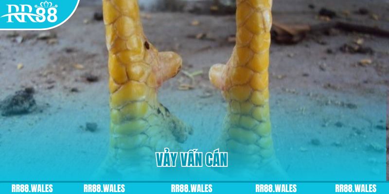 da ga đăng nhập nổ hũ hôm nay