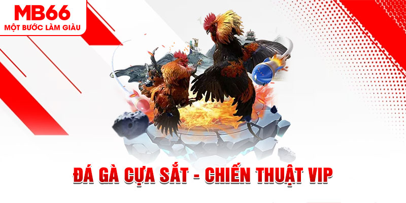 da ga xổ số trực tiếp hôm nay