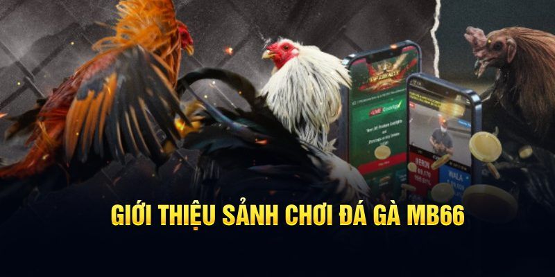 da ga đăng nhập poker hôm nay