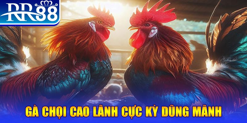da ga ILOVEU Bắn cá